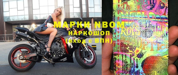 мдпв Бородино