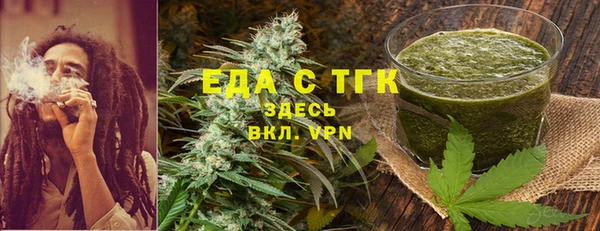мдпв Бородино