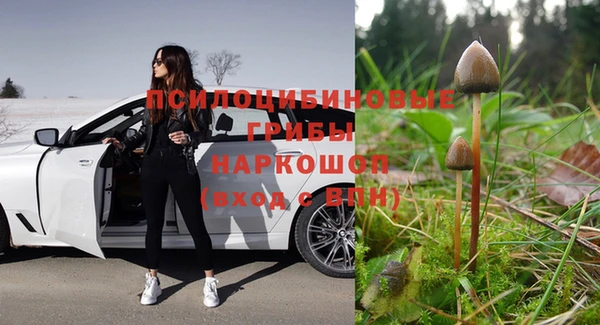 крисы Бугульма