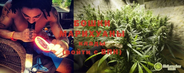 мдпв Бородино