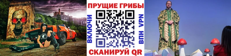 Псилоцибиновые грибы Cubensis  Купить  Углич 